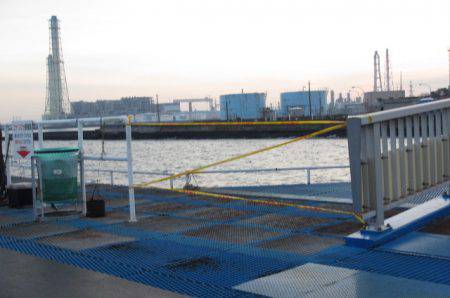 オリジナルメーカー海づり公園(市原市海づり施設) 釣果