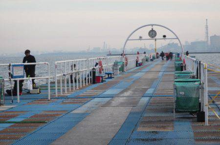 オリジナルメーカー海づり公園(市原市海づり施設) 釣果