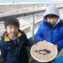 大阪南港海つり公園 釣果