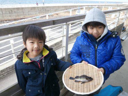 大阪南港海つり公園 釣果