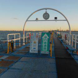 オリジナルメーカー海づり公園(市原市海づり施設) 釣果