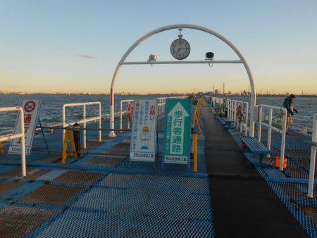オリジナルメーカー海づり公園(市原市海づり施設) 釣果