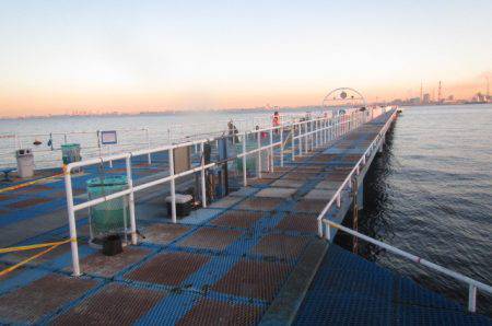 オリジナルメーカー海づり公園(市原市海づり施設) 釣果