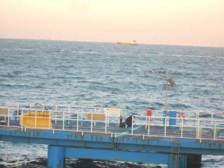 オリジナルメーカー海づり公園(市原市海づり施設) 釣果