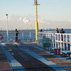 オリジナルメーカー海づり公園(市原市海づり施設) 釣果