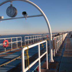 オリジナルメーカー海づり公園(市原市海づり施設) 釣果