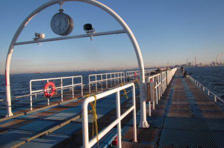 オリジナルメーカー海づり公園(市原市海づり施設) 釣果