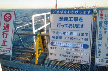 オリジナルメーカー海づり公園(市原市海づり施設) 釣果