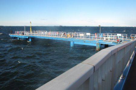 オリジナルメーカー海づり公園(市原市海づり施設) 釣果