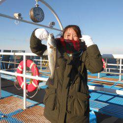 オリジナルメーカー海づり公園(市原市海づり施設) 釣果