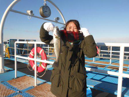 オリジナルメーカー海づり公園(市原市海づり…