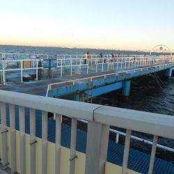 オリジナルメーカー海づり公園(市原市海づり施設) 釣果