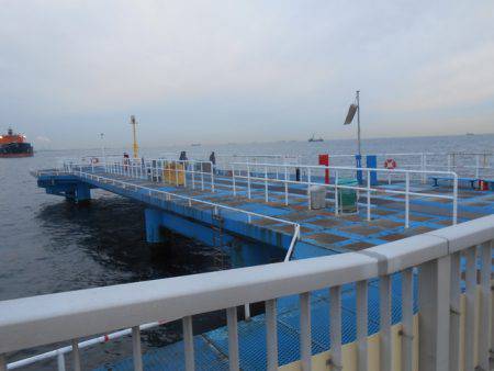 オリジナルメーカー海づり公園(市原市海づり施設) 釣果