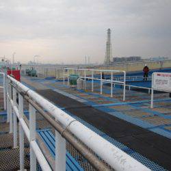 オリジナルメーカー海づり公園(市原市海づり施設) 釣果