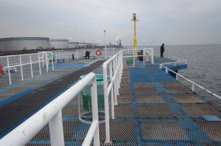 オリジナルメーカー海づり公園(市原市海づり施設) 釣果