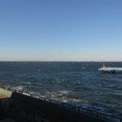 オリジナルメーカー海づり公園(市原市海づり施設) 釣果