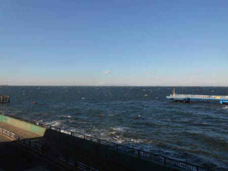 オリジナルメーカー海づり公園(市原市海づり施設) 釣果