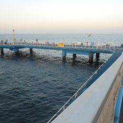 オリジナルメーカー海づり公園(市原市海づり施設) 釣果