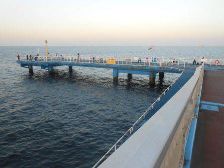 オリジナルメーカー海づり公園(市原市海づり施設) 釣果