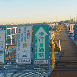 オリジナルメーカー海づり公園(市原市海づり施設) 釣果