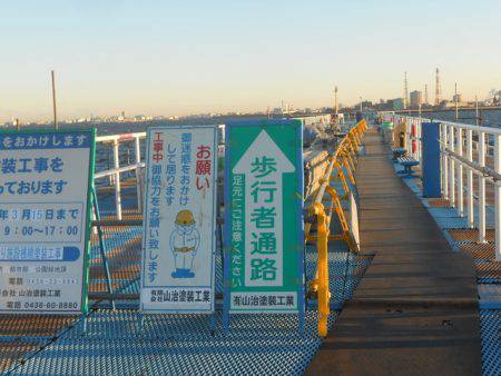 オリジナルメーカー海づり公園(市原市海づり施設) 釣果