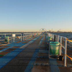 オリジナルメーカー海づり公園(市原市海づり施設) 釣果