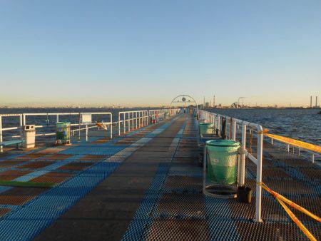 オリジナルメーカー海づり公園(市原市海づり施設) 釣果