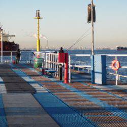 オリジナルメーカー海づり公園(市原市海づり施設) 釣果
