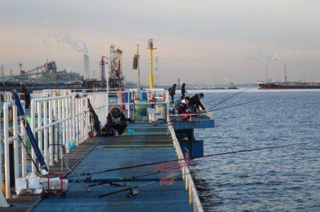 オリジナルメーカー海づり公園(市原市海づり施設) 釣果