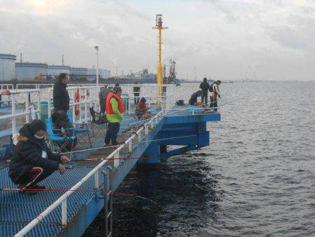オリジナルメーカー海づり公園(市原市海づり施設) 釣果