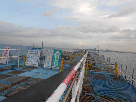 オリジナルメーカー海づり公園(市原市海づり施設) 釣果