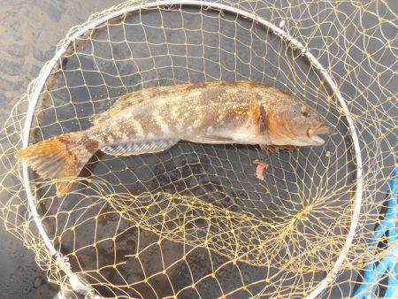 オリジナルメーカー海づり公園(市原市海づり…