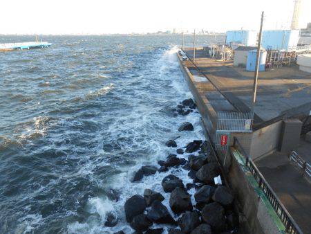オリジナルメーカー海づり公園(市原市海づり施設) 釣果
