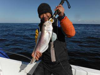 開進丸 釣果