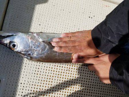 遊漁船 ニライカナイ 釣果