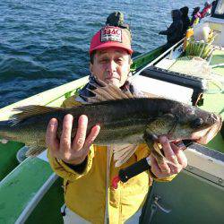 深川 吉野屋 釣果