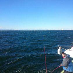 深川 吉野屋 釣果