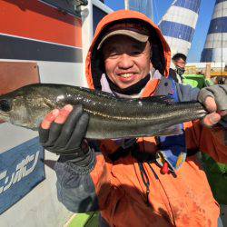 深川 吉野屋 釣果
