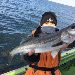 深川 吉野屋 釣果