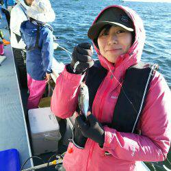 深川 吉野屋 釣果