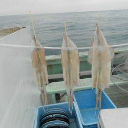 こうゆう丸 釣果