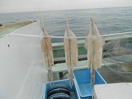 こうゆう丸 釣果