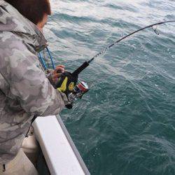 スカイマリン 釣果