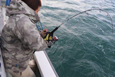 スカイマリン 釣果