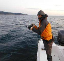 開進丸 釣果