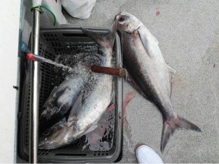 第二大福丸 釣果