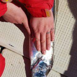 遊漁船 ニライカナイ 釣果