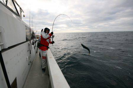 オーシャンズ　京都 釣果