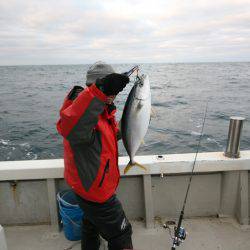 オーシャンズ　京都 釣果