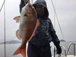 YELLOW-TAIL　イエローテール 釣果